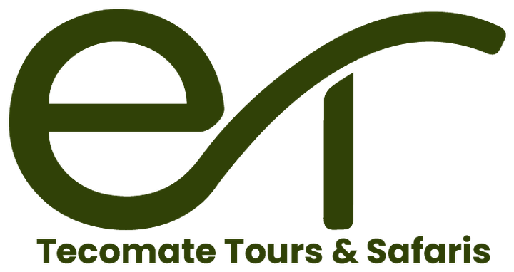 Tecomate Tours & Safaris